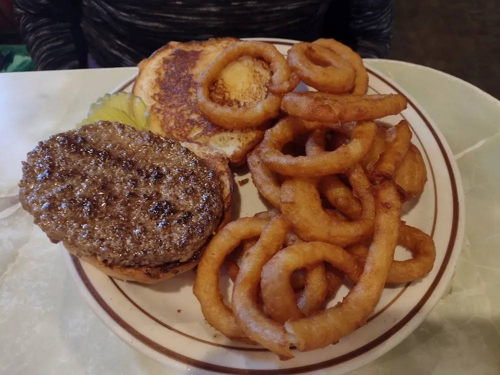 A Plain Hamburger with Onion Rings